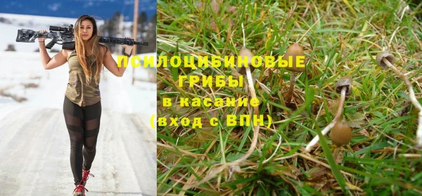 твердый Алзамай