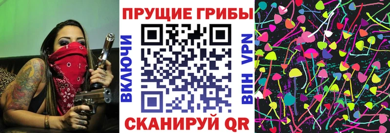 MEGA ONION  что такое   Иннополис  Псилоцибиновые грибы прущие грибы 